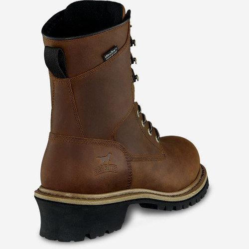 Irish setter 83834 clearance